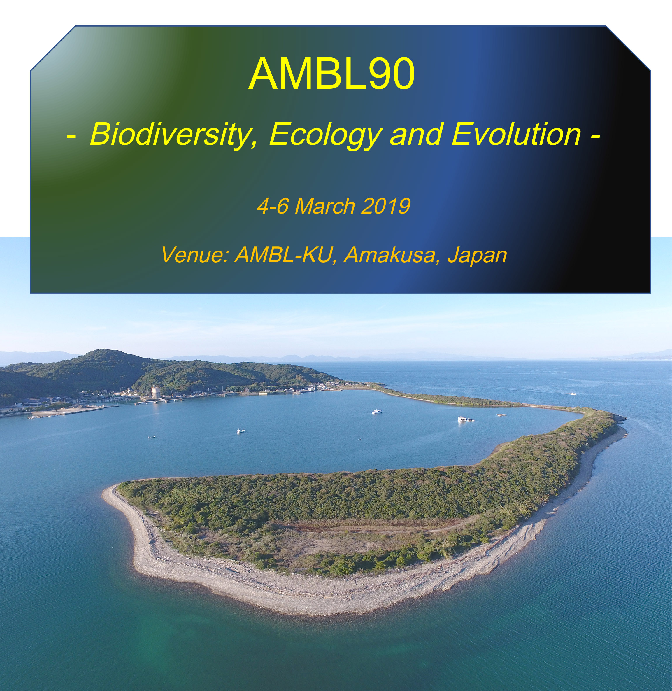 ambl90poster